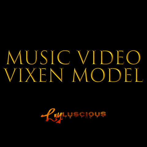 Video Vixen | Music Video Model